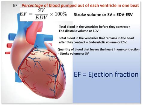 What is the normal result for left ventricular ejection fraction 